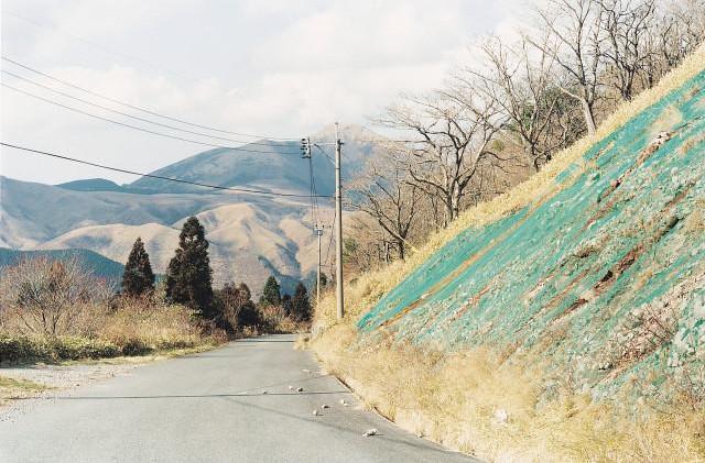 Aso National park, Île de Kiushu. Japon. 1997