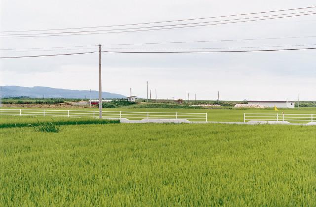 Île de Sado-shima. Japon. 1997