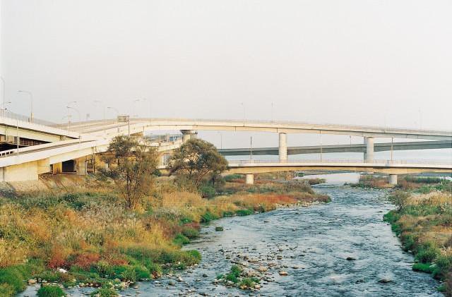 Shizuoka préfecture, Île de Honshu. Japon. 1997