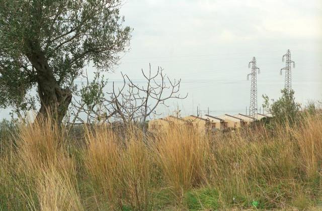 Calabre, Italie. 1993