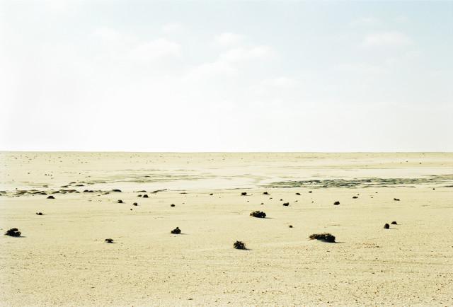 Skeleton coast, désert du Namib. Namibie. 2004