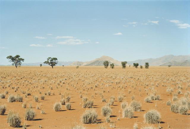 Environs de Solitaire, désert du Namib. Namibie. 2004