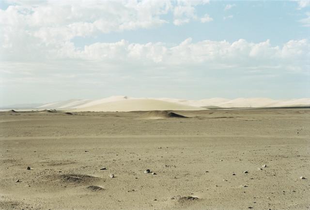 Torra Bay, Skeleton coast, désert du Namib. Namibie. 2004