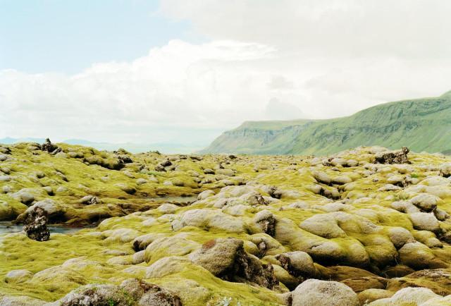 Environs de Kirkjubæjarklaustur, Islande. 2000