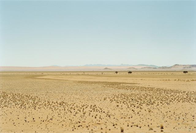 Naukluft park, désert du Namib. Namibie. 2004