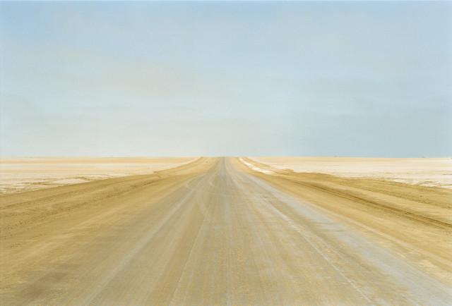 West Coast, désert du Namib. Namibie. 2004