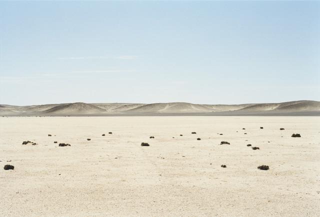 West coast, désert du Namib. Namibie. 2000