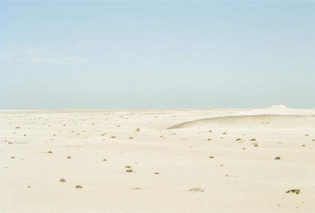 Skeleton Coast, désert du Namib. Namibie. 2004