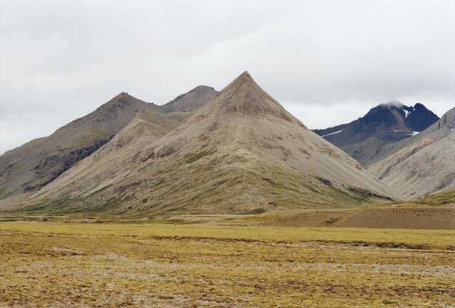 Environs de Höfn, Islande. 2000