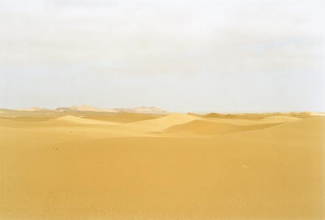 Environs de Wallis Bay, désert du Namib. Namibie. 2004