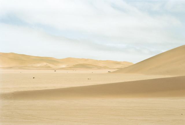 Environs de Lüderitz, désert du Namib. Namibie. 2004