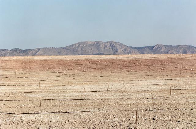 Province de Murcia, Andalousie. Espagne. 1992