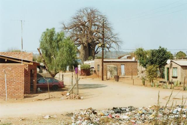 Limpopo, Afrique du Sud. 2012.