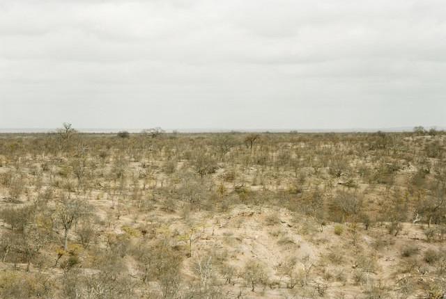 Limpopo, Afrique du Sud. 2012.