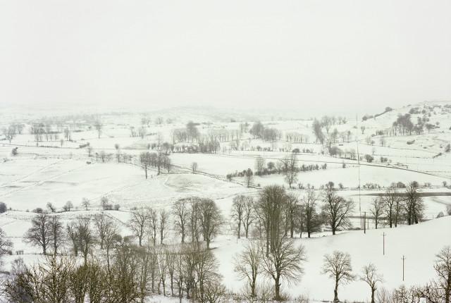 Plateau de l'Aubrac, Lozère. Occitanie. 2010