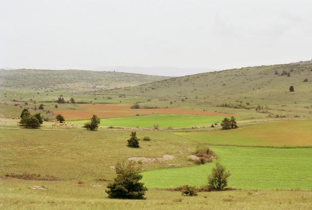 BeauxArts_academie022