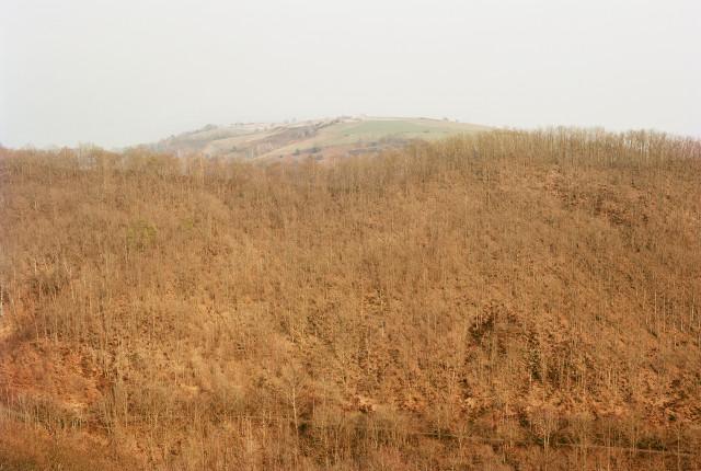 Légende inconnue. 2010