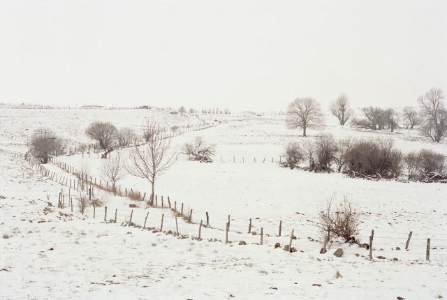 Plateau de l'Aubrac, Lozère. Occitanie. 2010