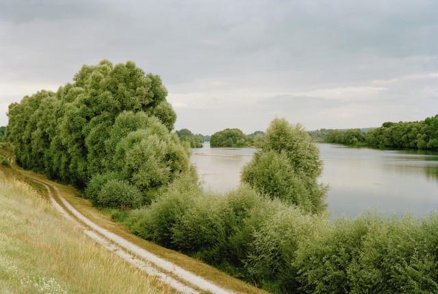 Chouzy-sur-Cisse, Loir-et-Cher. Centre-Val de Loire. 2010