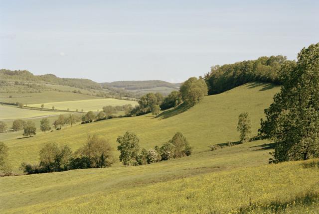 Légende inconnue. 2010