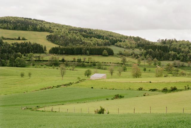 Légende inconnue. 2010