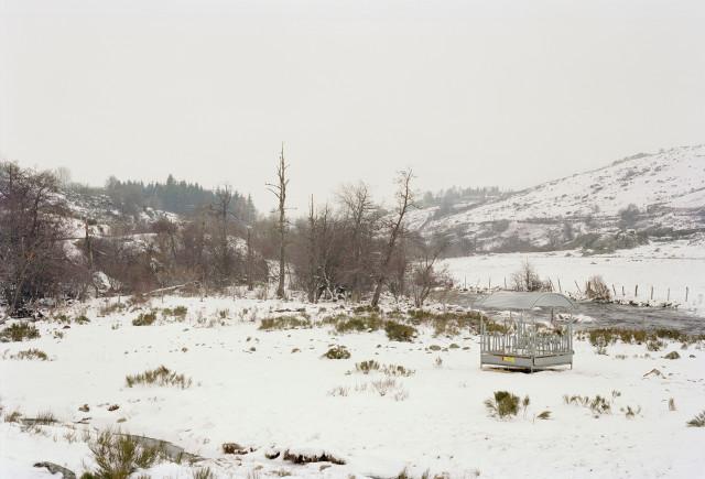 Plateau de l'Aubrac, Lozère. Occitanie. 2010
