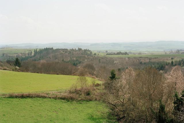 Légende inconnue. 2010