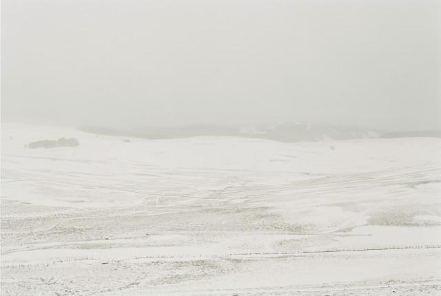 Plateau de l'Aubrac, Lozère. Occitanie. 2010