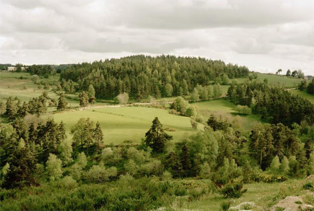 La Margeride, Lozère. Occitanie. 2010