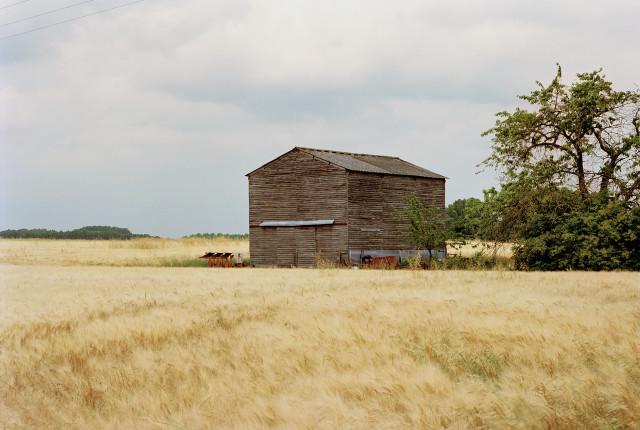 Fougères-sur-Bièvre, Loir-et-Cher. Centre-Val de Loire. 2010