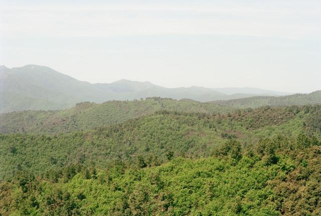 Corniche des Cévennes, Gard. Occitanie. 2010