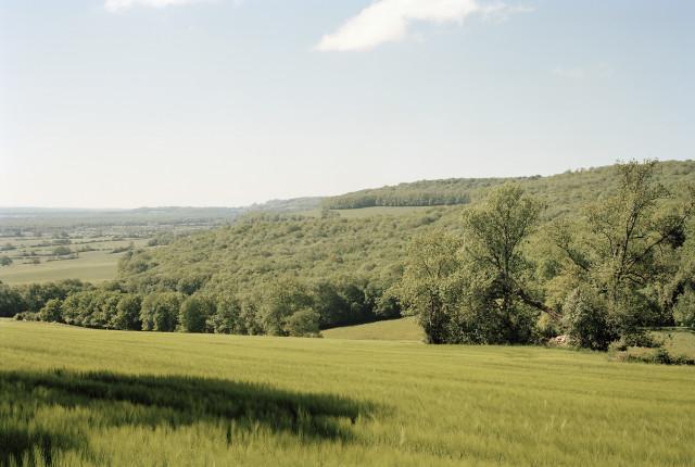 Légende inconnue. 2010