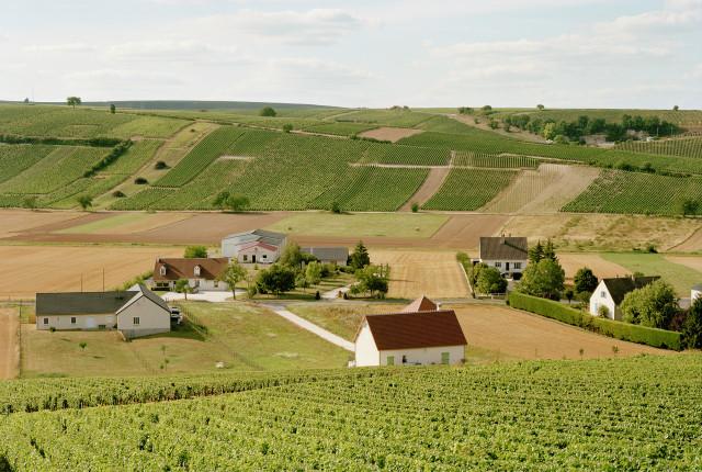 Légende inconnue. 2010