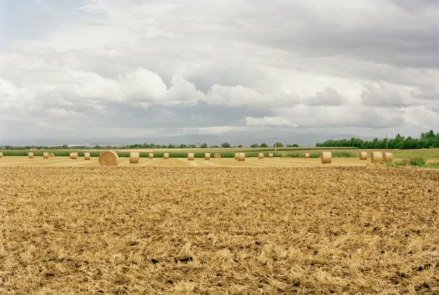Puy-de-Dôme, Auvergne-Rhône-Alpes. 2010