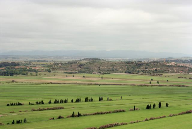 Étang de Montady, Occitanie. 2006