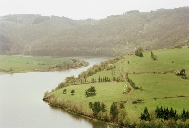 Le pet de l'âne, Saint-Paul-de-Vézelin, Loire. Auvergne-Rhône-Alpes. 2010