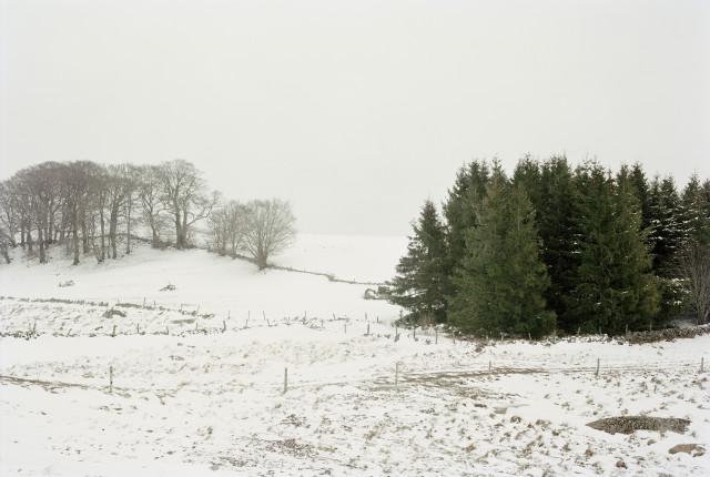 Plateau de l'Aubrac, Lozère. Occitanie. 2010