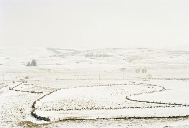 Plateau de l'Aubrac, Lozère. Occitanie. 2010