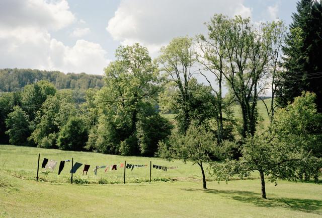 Dannemarie, Grand Est. 2016