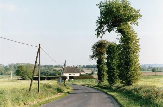 Hénon. Côtes-d'Armor, Bretagne. 1995