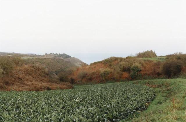 Plouezec. Côtes-d'Armor, Bretagne. 1995