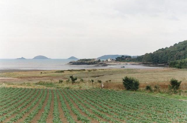 Paimpol. Côtes-d'Armor, Bretagne. 1994