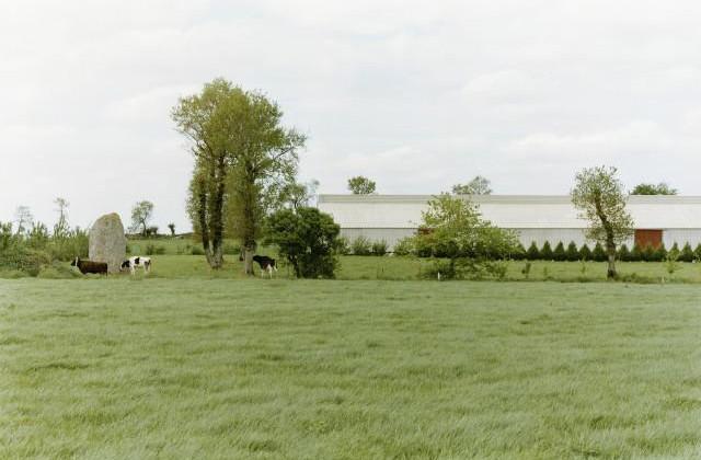 Plémy. Côtes-d'Armor, Bretagne. 1994