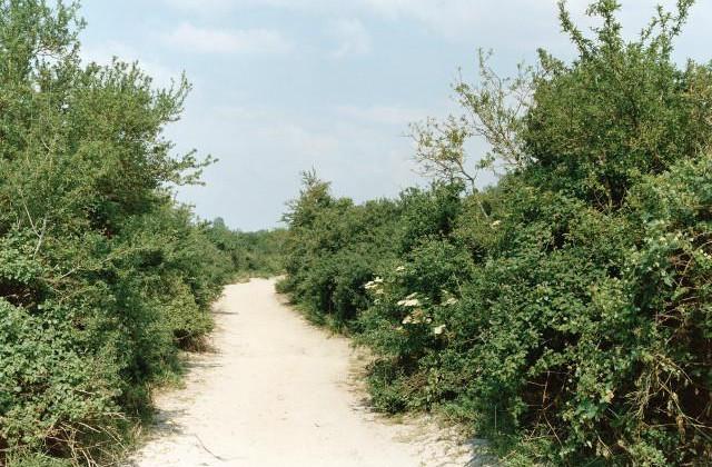 Lancieux. Côtes-d'Armor, Bretagne. 1996