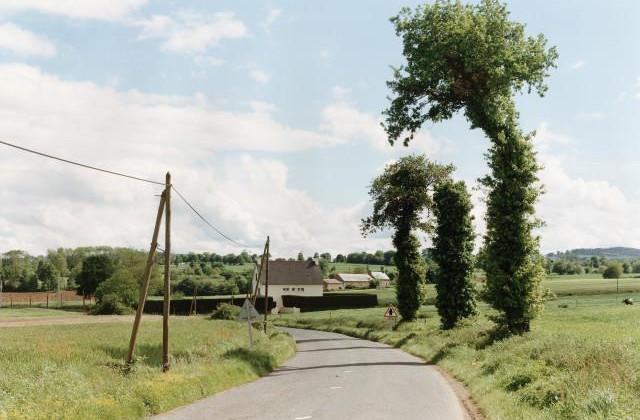 Hénon. Côtes-d'Armor, Bretagne. 1994
