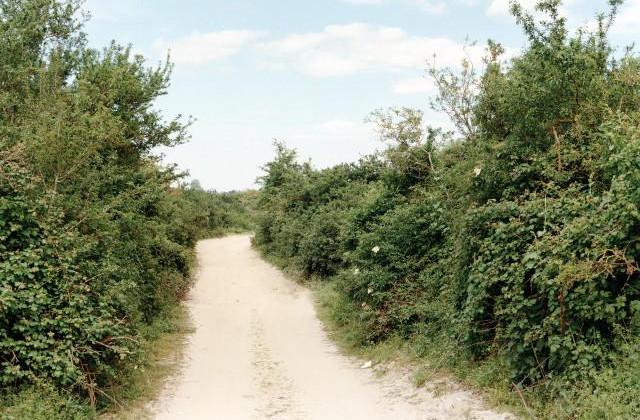 Lancieux. Côtes-d'Armor, Bretagne. 1995