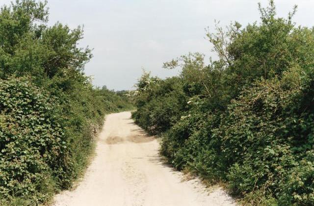 Lancieux. Côtes-d'Armor, Bretagne. 1994