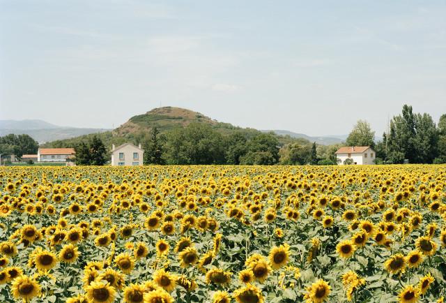 Environs de Clermont-Ferrand, Auvergne-Rhône-Alpes. 2013