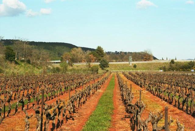 Environs de Tourtour, Provence-Alpes-Côte d'Azur. 2016