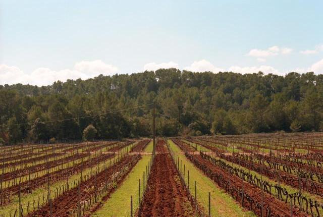 Environs de Tourtour, Provence-Alpes-Côte d'Azur. 2016